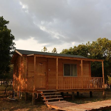 Jambo Mara Safari Lodge Ololaimutiek Стая снимка