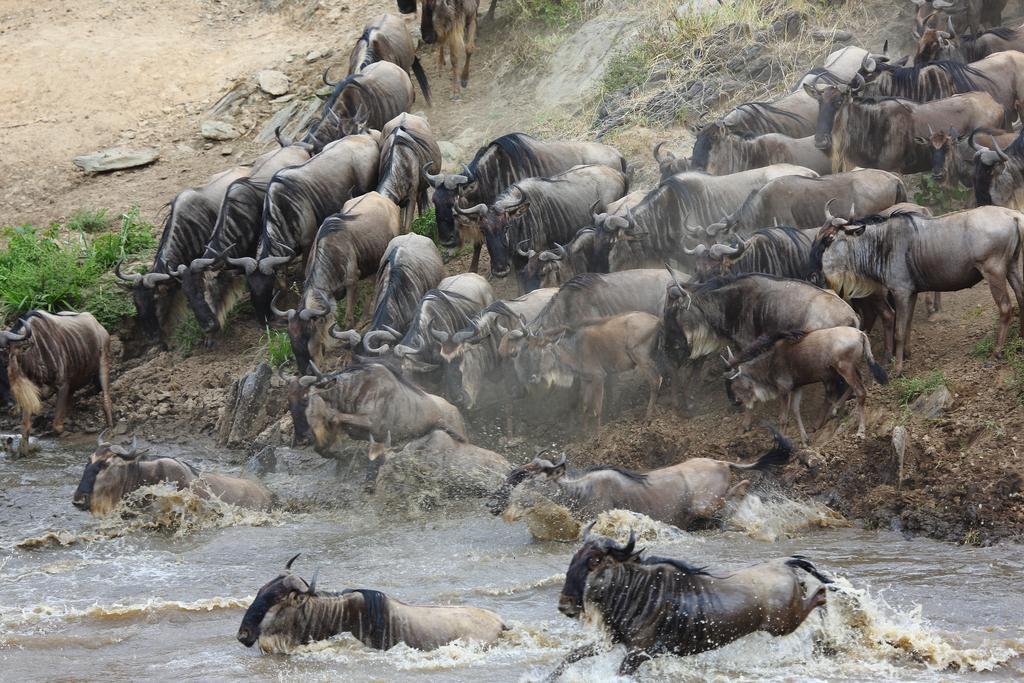 Jambo Mara Safari Lodge Ololaimutiek Екстериор снимка