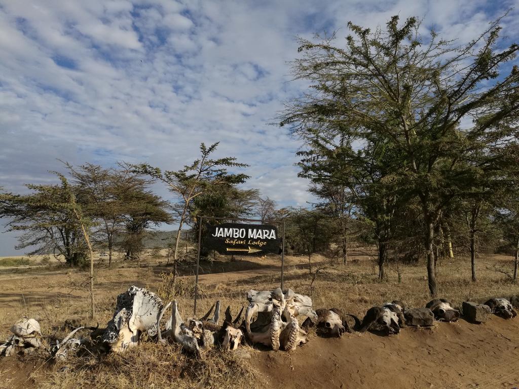 Jambo Mara Safari Lodge Ololaimutiek Екстериор снимка