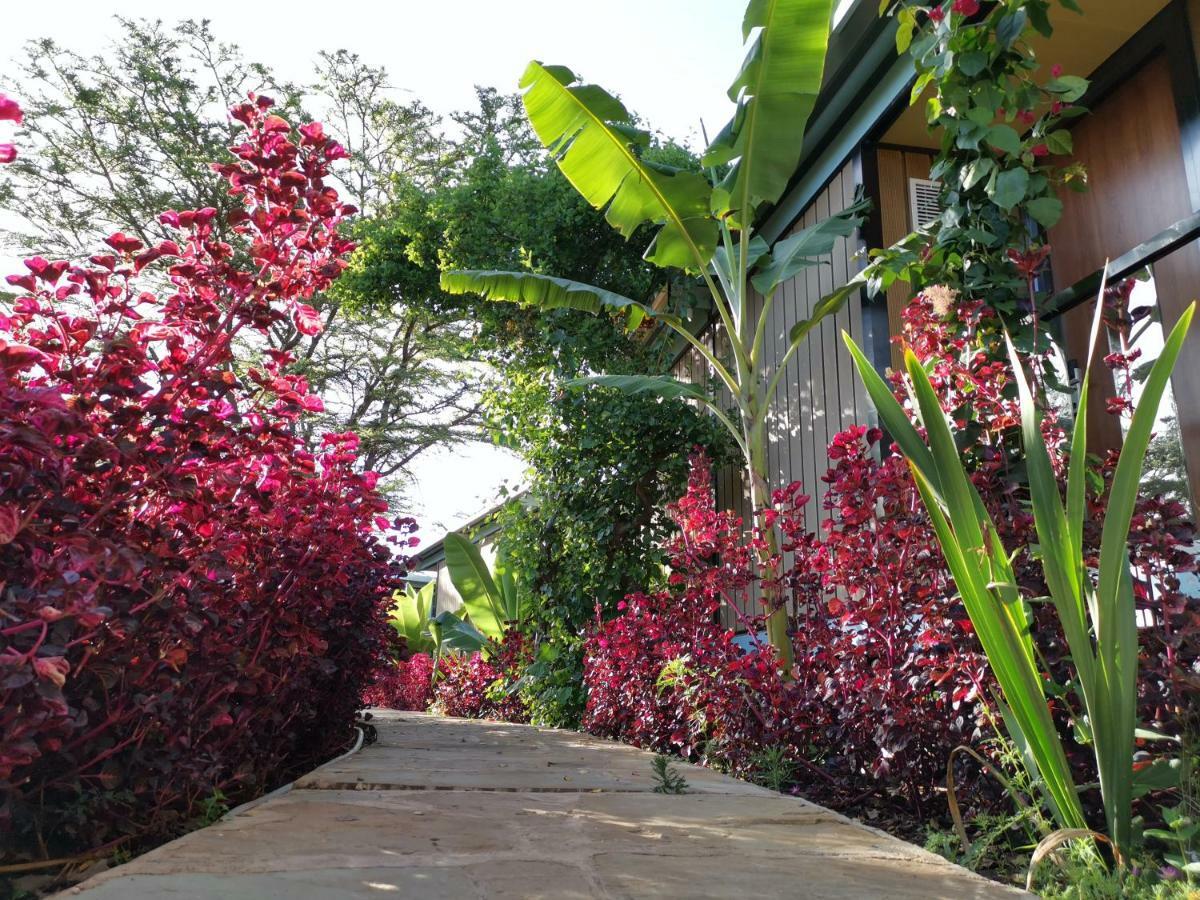 Jambo Mara Safari Lodge Ololaimutiek Екстериор снимка