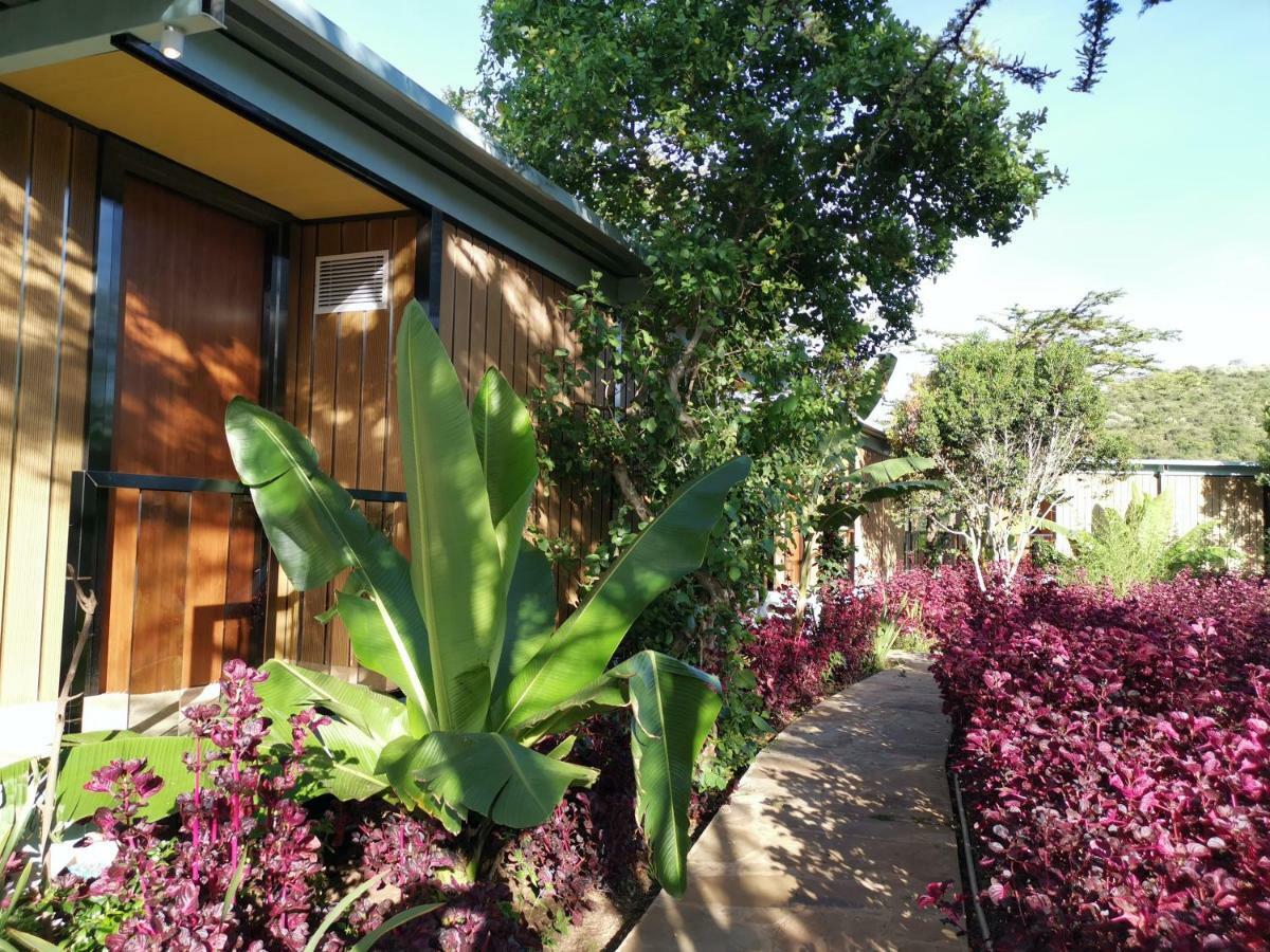 Jambo Mara Safari Lodge Ololaimutiek Екстериор снимка